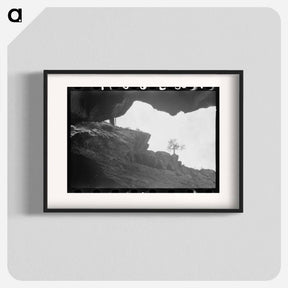 アートポスター-Box Canyon near Ouray, Colorado
 - ラッセル リー Poster.