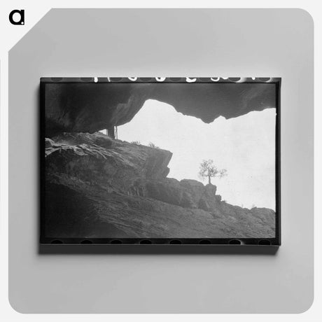 アートパネル-Box Canyon near Ouray, Colorado
 - ラッセル リー Canvas.