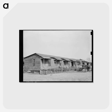 アートポストカード-Mexican Houses, San Antonio
 - ラッセル リー Postcard.