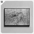 アートパネル-Corn Cut for Fodder, Sheridan County, Kansas
 - ラッセル リー Canvas.
