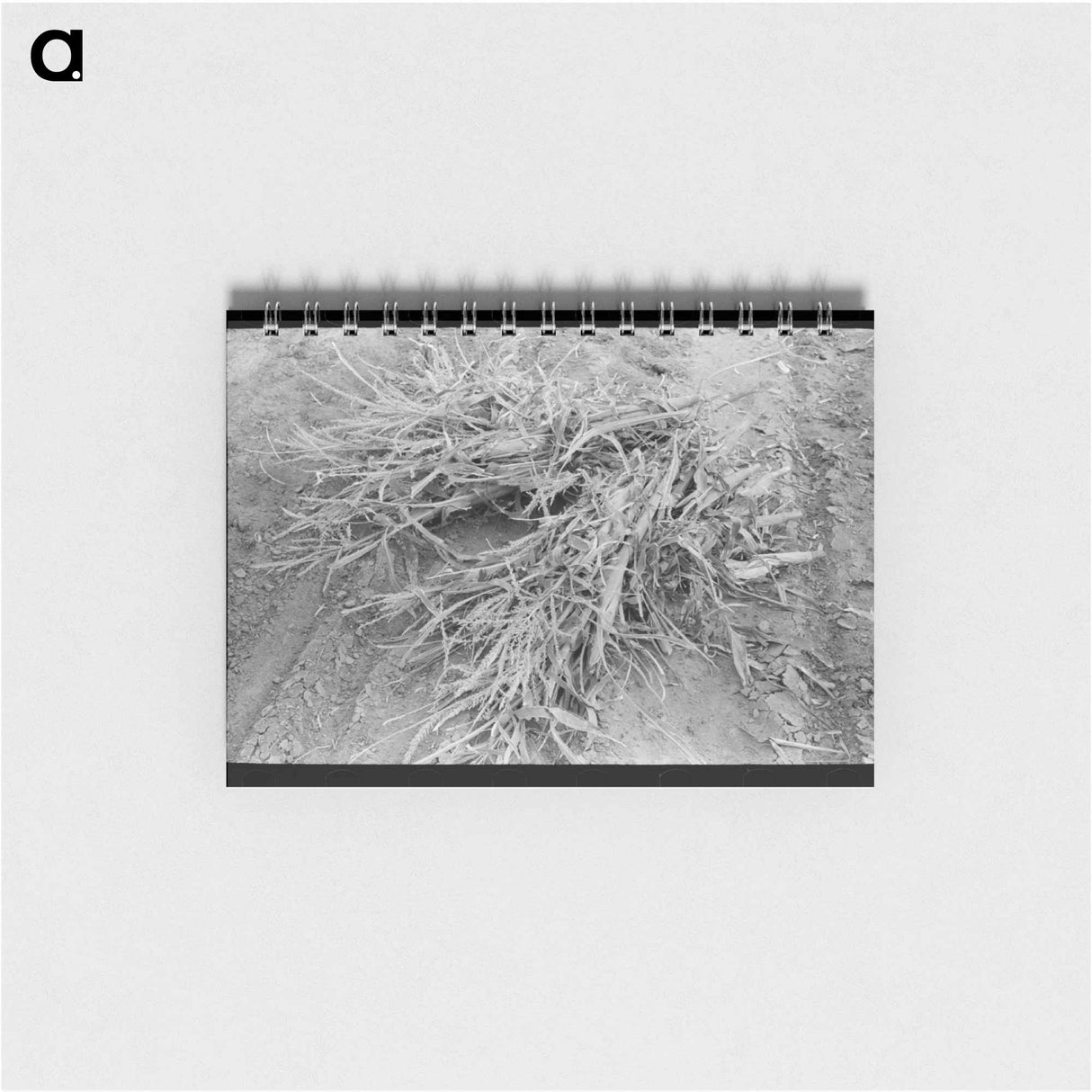 アートメモ帳-Corn Cut for Fodder, Sheridan County, Kansas
 - ラッセル リー Memo.