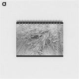 アートメモ帳-Corn Cut for Fodder, Sheridan County, Kansas
 - ラッセル リー Memo.
