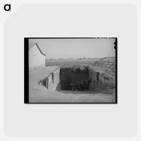 アートポストカード-Silage Loading, Chandler Unit, Maricopa County, Arizona
 - ラッセル リー Postcard.