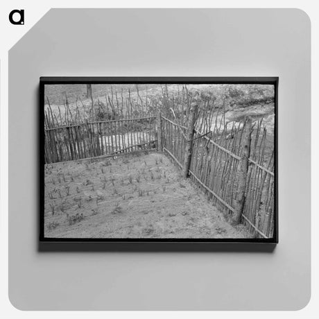 アートパネル-Gardens Protected by Fence, Near Jefferson, Texas
 - ラッセル リー Canvas.