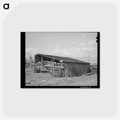 アートポストカード-Shed on Farm of Mr. White
 - ラッセル リー Postcard.