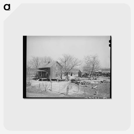アートポストカード-Yard of Farmer, McIntosh County, Oklahoma
 - ラッセル リー Postcard.