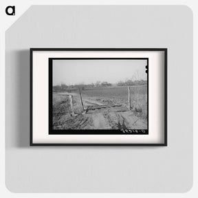 アートポスター-Cattle Guard, Creek County, Oklahoma
 - ラッセル リー Poster.