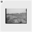 アートポストカード-Cattle Guard, Creek County, Oklahoma
 - ラッセル リー Postcard.