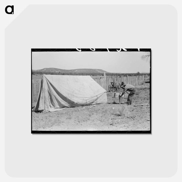 アートポストカード-Faro Caudill Driving Tent Posts, Pie Town, New Mexico
 - ラッセル リー Postcard.