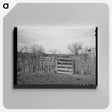 アートパネル-Cedar Post Fence, Kimble County, Texas
 - ラッセル リー Canvas.