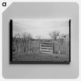 アートパネル-Cedar Post Fence, Kimble County, Texas
 - ラッセル リー Canvas.