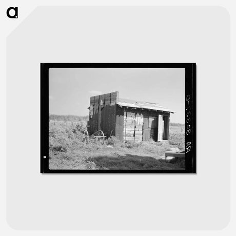 アートポストカード-Tarpaper Shed, Gemmel, Minnesota
 - ラッセル リー Postcard.