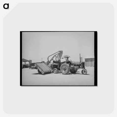 アートポストカード-Combination Hay Loader and Chopper
 - ラッセル リー Postcard.