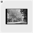アートポストカード-Residential Street, Caldwell, Idaho
 - ラッセル リー Postcard.