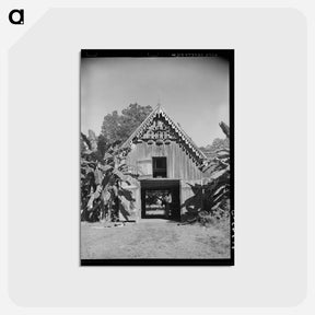 アートポストカード-Pigeon Cote on Plantation Barn Near New Orleans
 - ラッセル リー Postcard.