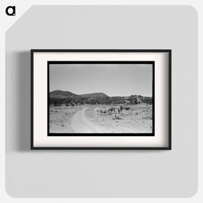 アートポスター-Mrs. Caudill and Daughter Driving in the Cows, Pie Town, New Mexico
 - ラッセル リー Poster.