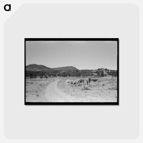 アートポストカード-Mrs. Caudill and Daughter Driving in the Cows, Pie Town, New Mexico
 - ラッセル リー Postcard.