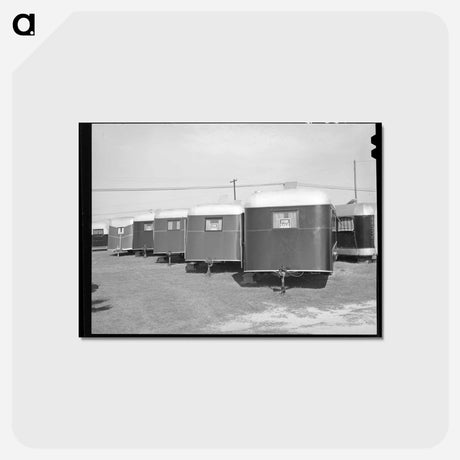 アートポストカード-Trailers for Sale, Corpus Christi, Texas
 - ラッセル リー Postcard.