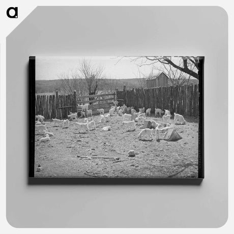 アートパネル-Children in Stockade, Kimble County, Texas
 - ラッセル リー Canvas.