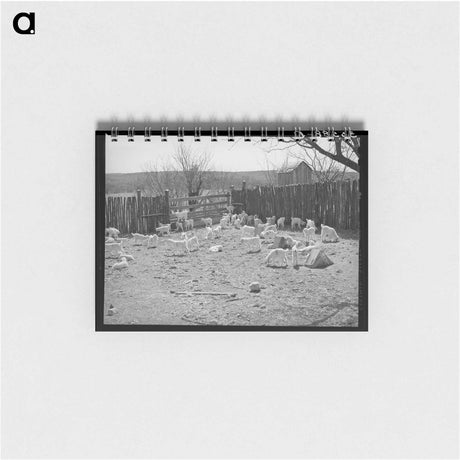 アートメモ帳-Children in Stockade, Kimble County, Texas
 - ラッセル リー Memo.
