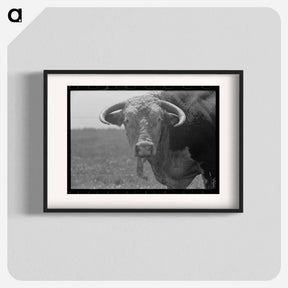 アートポスター-Bull's Head, Cruzen Ranch, Valley County, Idaho
 - ラッセル リー Poster.