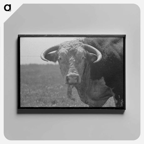 アートパネル-Bull's Head, Cruzen Ranch, Valley County, Idaho
 - ラッセル リー Canvas.