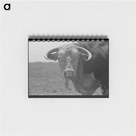 アートメモ帳-Bull's Head, Cruzen Ranch, Valley County, Idaho
 - ラッセル リー Memo.