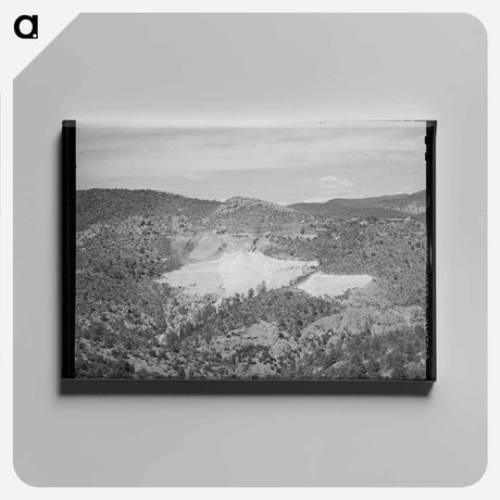 アートパネル-Gold Mill and Tailings, Mogollon, New Mexico
 - ラッセル リー Canvas.