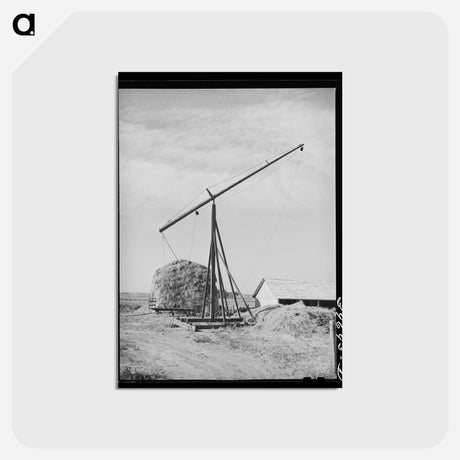 アートポストカード-Hay Stacker and Hay Stack on Farm
 - ラッセル リー Postcard.
