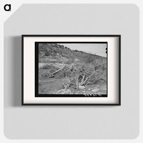 アートポスター-Llano River Banks, Kimble County, Texas
 - ラッセル リー Poster.