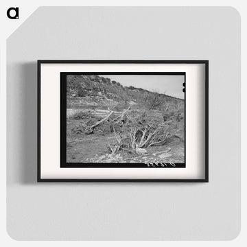 Llano River Banks, Kimble County, Texas
 - ラッセル リー Poster.