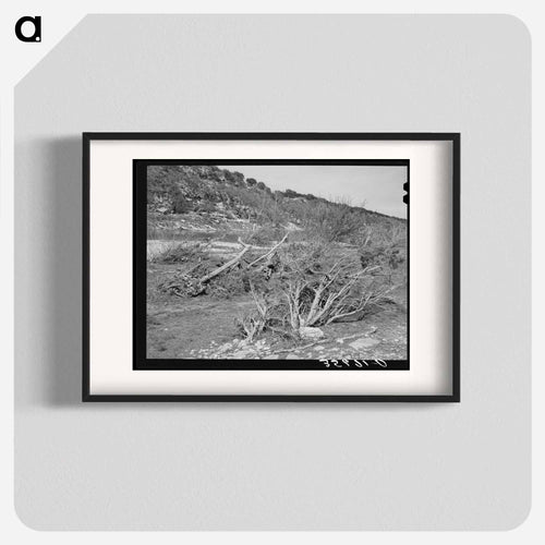Llano River Banks, Kimble County, Texas
 - Russell Lee Poster.