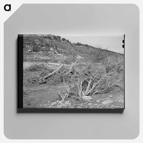 アートパネル-Llano River Banks, Kimble County, Texas
 - ラッセル リー Canvas.