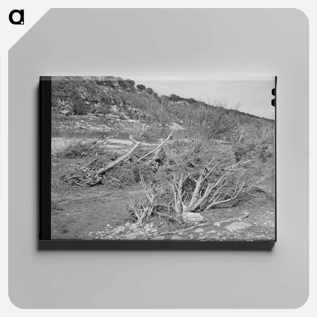 アートパネル-Llano River Banks, Kimble County, Texas
 - ラッセル リー Canvas.
