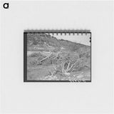 アートメモ帳-Llano River Banks, Kimble County, Texas
 - ラッセル リー Memo.