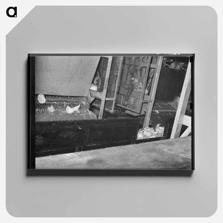 アートパネル-Grapefruit Juice Canning Plant, Weslaco, Texas
 - ラッセル リー Canvas.