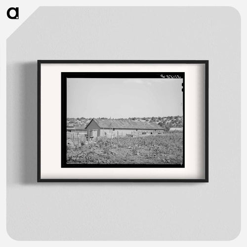 Barn, Penasco, New Mexico
 - Russell Lee Poster.