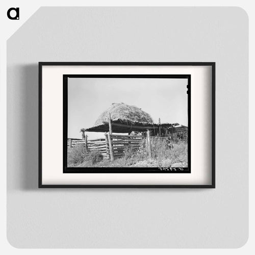 Livestock Shelter near Questa, New Mexico 
- Russell Lee Poster.