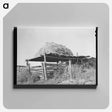 アートパネル-Livestock Shelter near Questa, New Mexico
 - ラッセル リー Canvas.