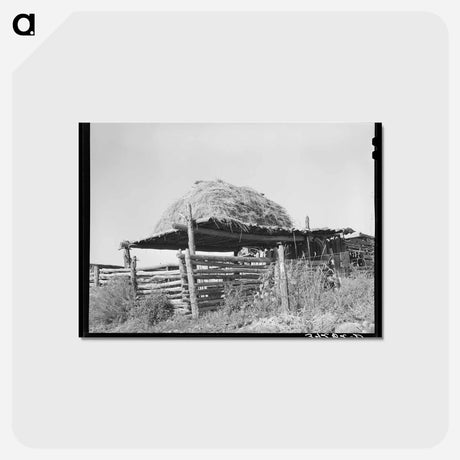 アートポストカード-Livestock Shelter near Questa, New Mexico
 - ラッセル リー Postcard.