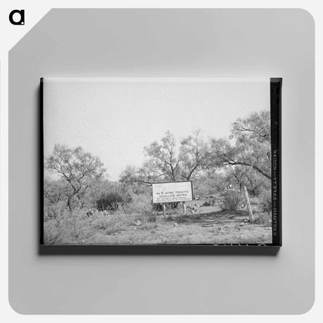 アートパネル-Character of a Twenty by Five Mile Land Strip
 - ラッセル リー Canvas.