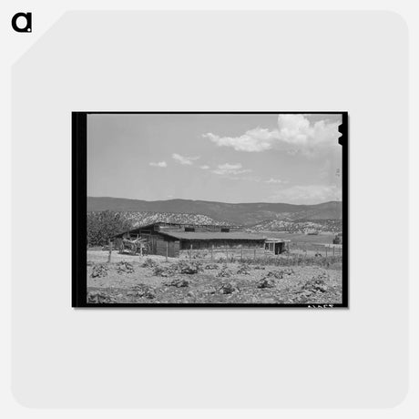 アートポストカード-Hay and Cow Barn, Chamisal, New Mexico
 - ラッセル リー Postcard.