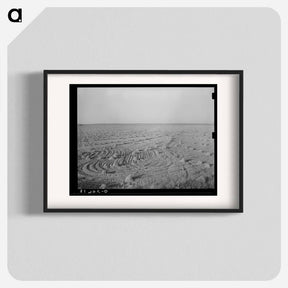 アートポスター-Field of Rice near Crowley, Louisiana
 - ラッセル リー Poster.