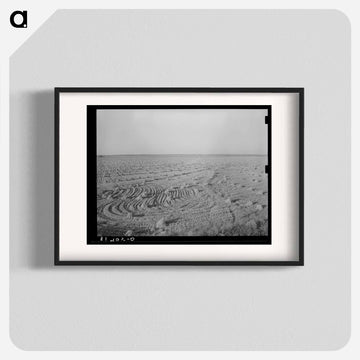 Field of Rice near Crowley, Louisiana
 - ラッセル リー Poster.