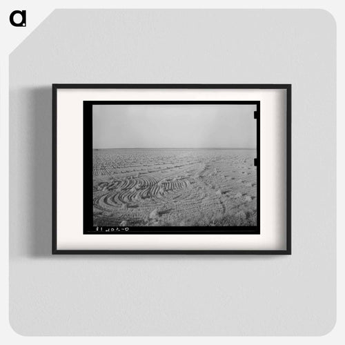 Field of Rice near Crowley, Louisiana
 - Russell Lee Poster.