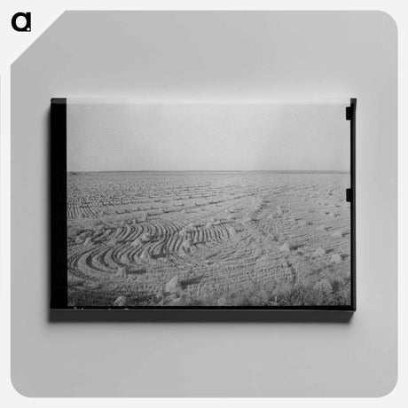 アートパネル-Field of Rice near Crowley, Louisiana
 - ラッセル リー Canvas.