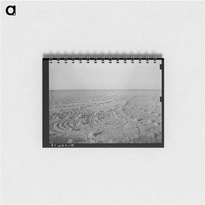 アートメモ帳-Field of Rice near Crowley, Louisiana
 - ラッセル リー Memo.