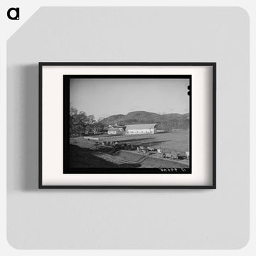 Cows Going Home Near Wallingford, Vermont
 - ラッセル リー Poster.