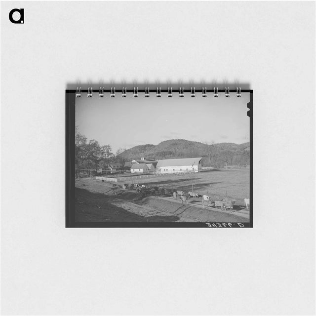 アートメモ帳-Cows Going Home Near Wallingford, Vermont
 - ラッセル リー Memo.