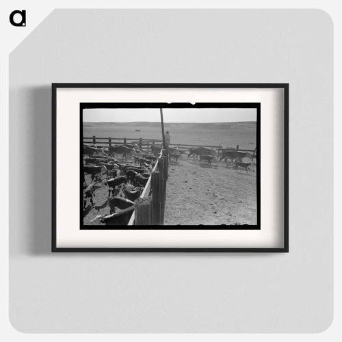 Cattle Branding near Marfa, Texas
 - Russell Lee Poster.